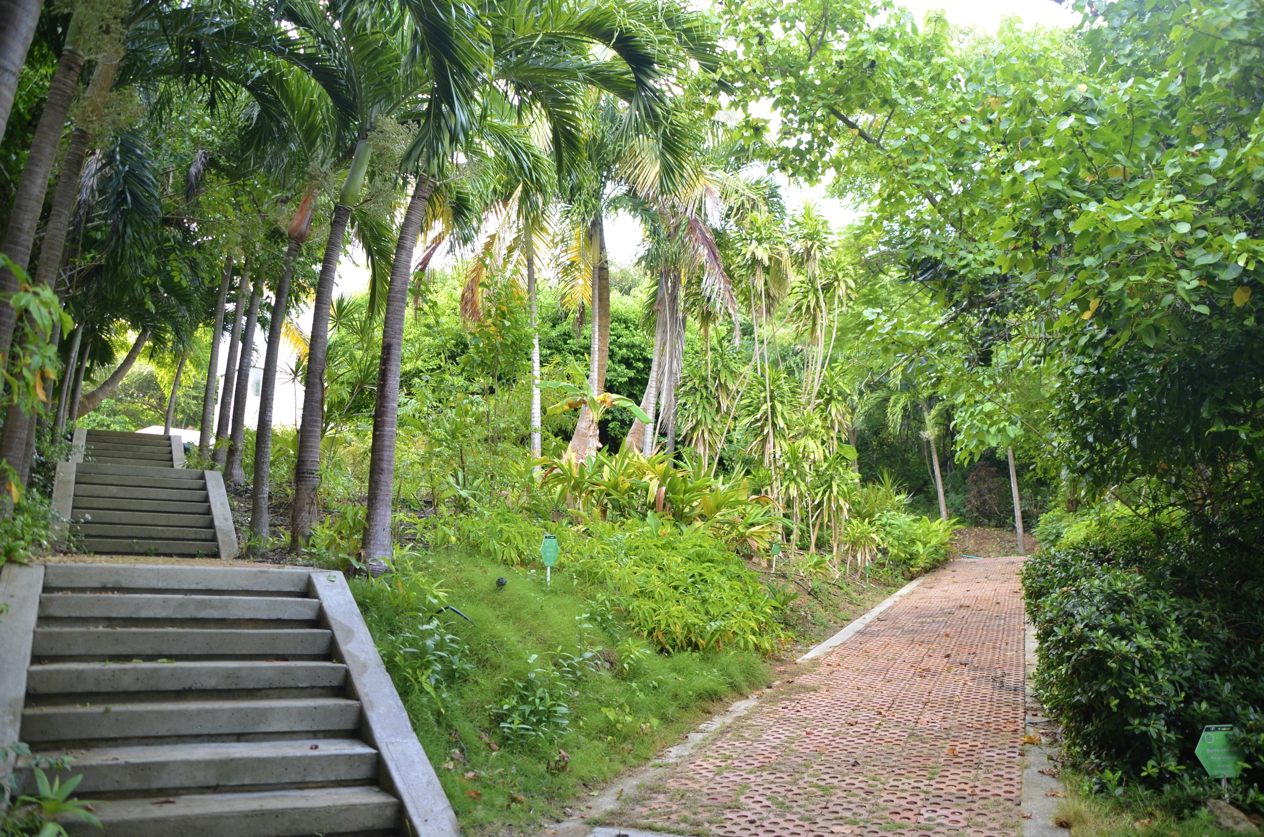 Botanical Garden San Andres Island