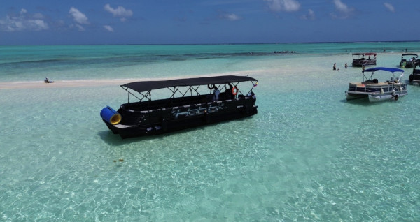 Ponton Habibi Luxury